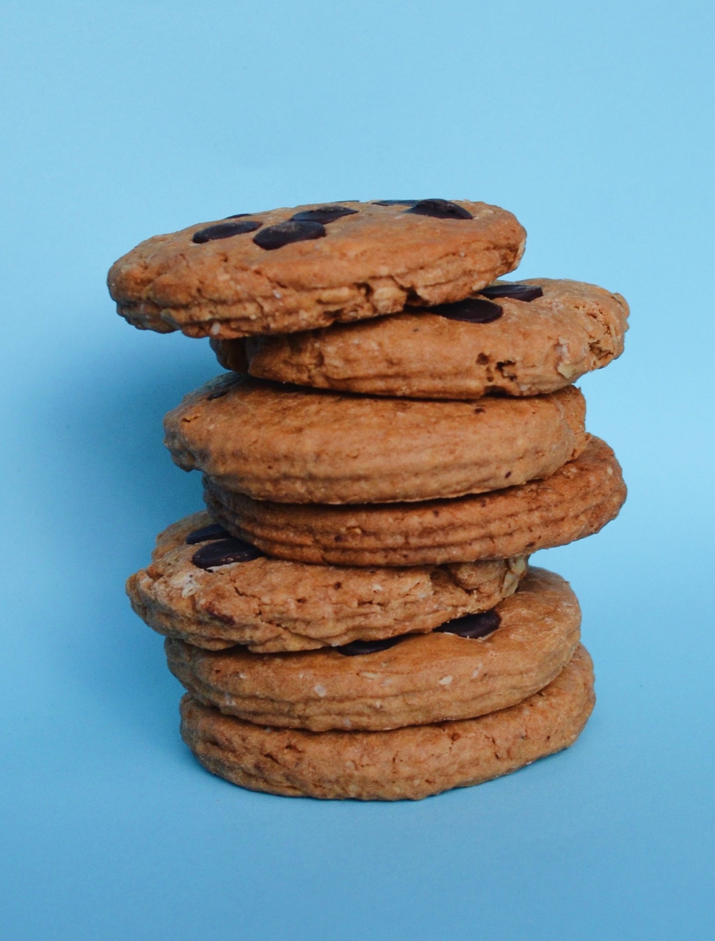 Chocolate Chip Cookie Jar