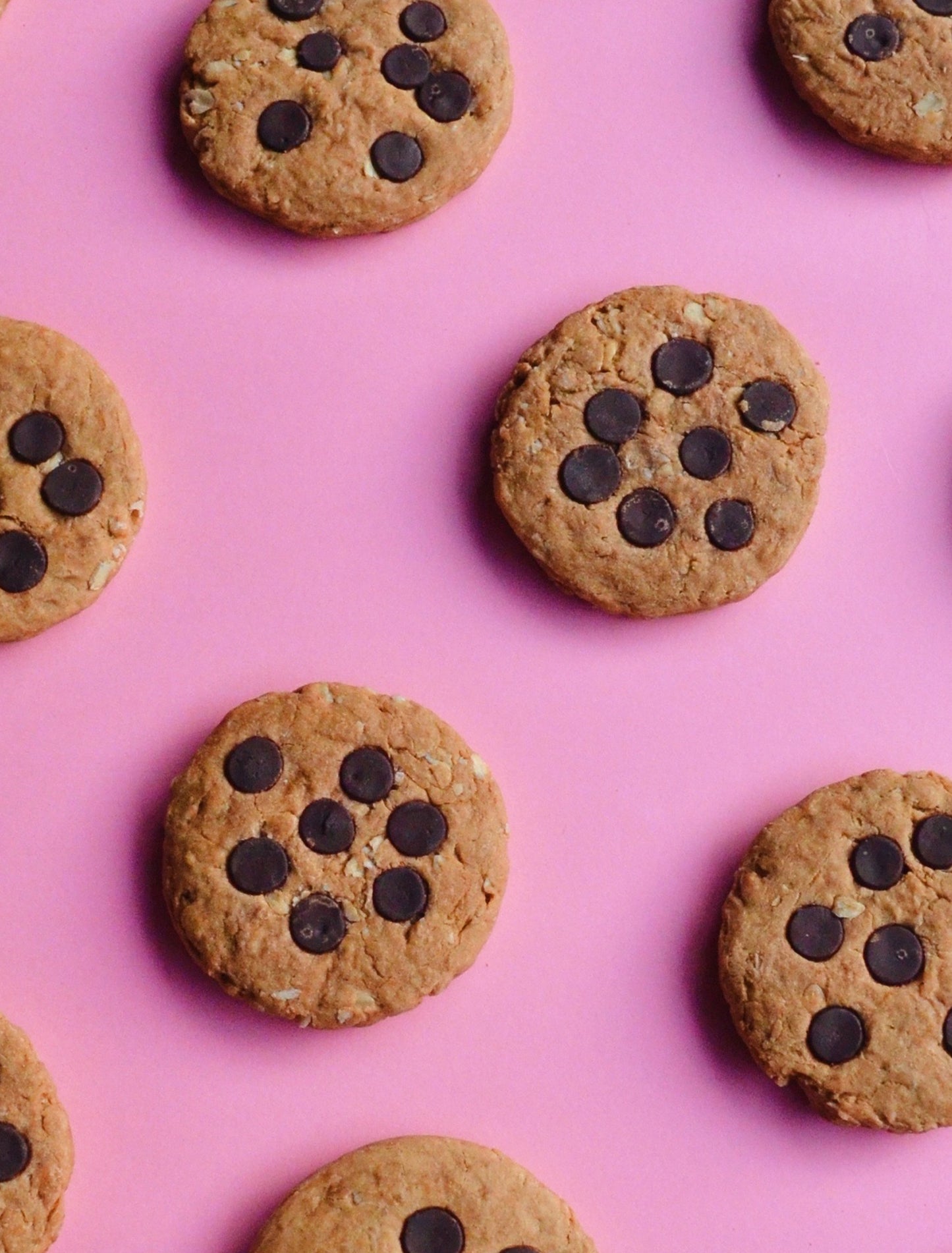 Chocolate Chip Cookie Jar